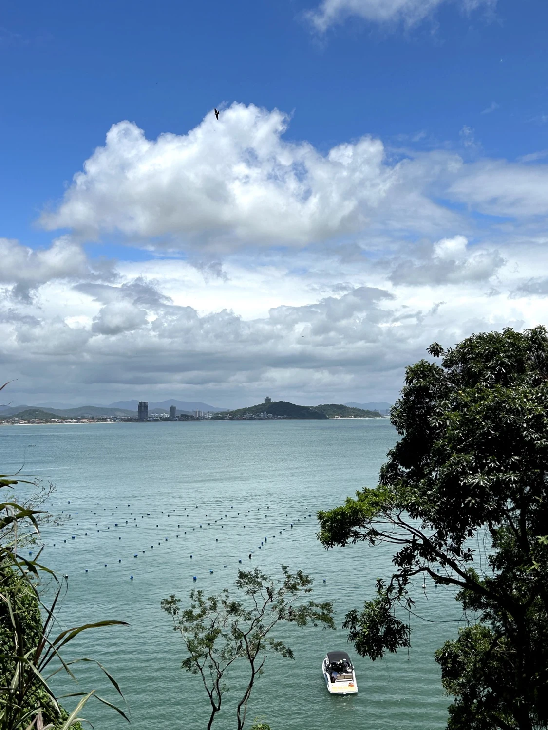Praia da Paciência em Penha, Santa Catarina